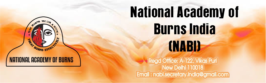 National Academy of Burns India (NABI) official logo